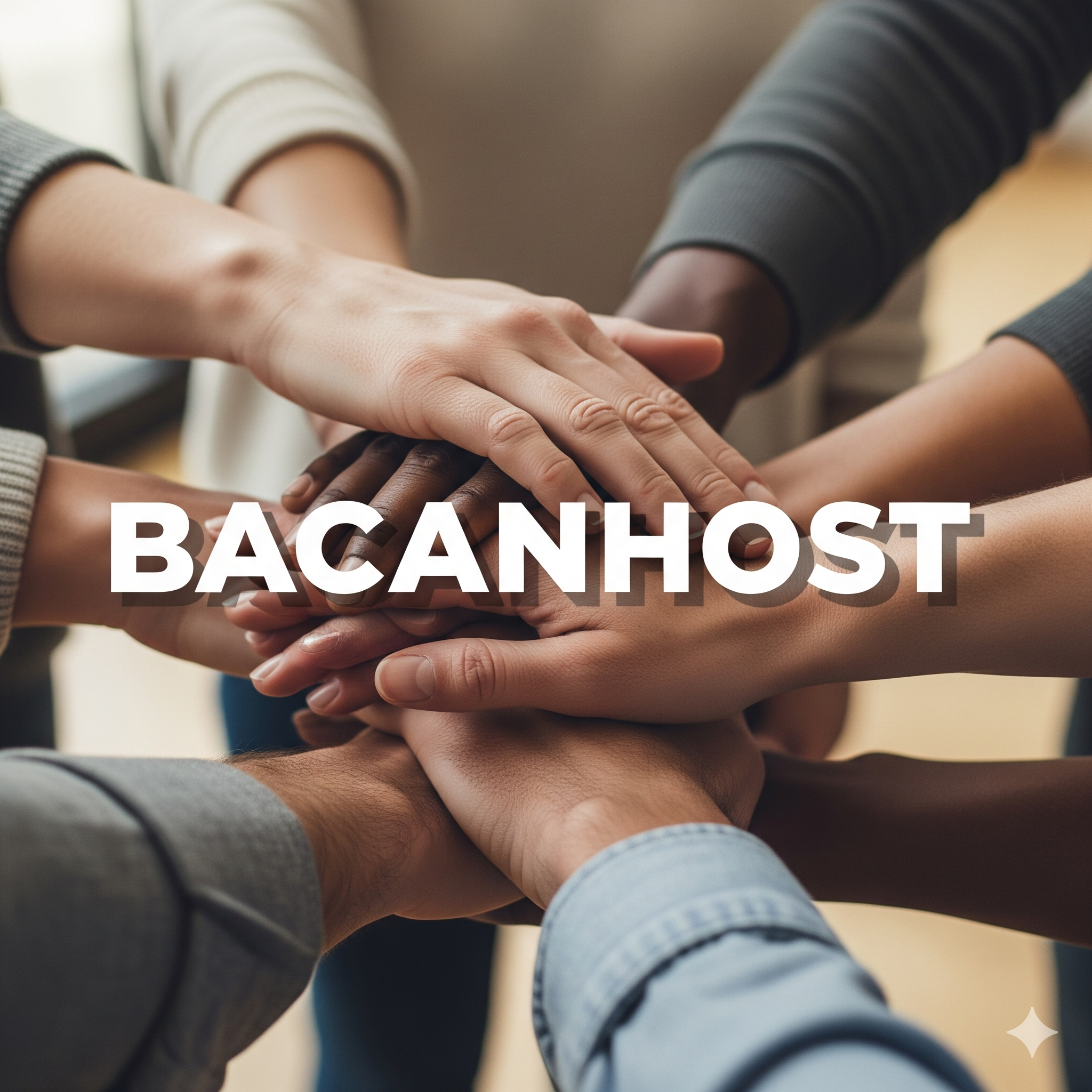 Equipo BacanHost